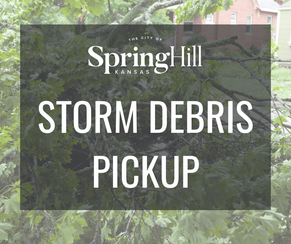 storm debris pickup